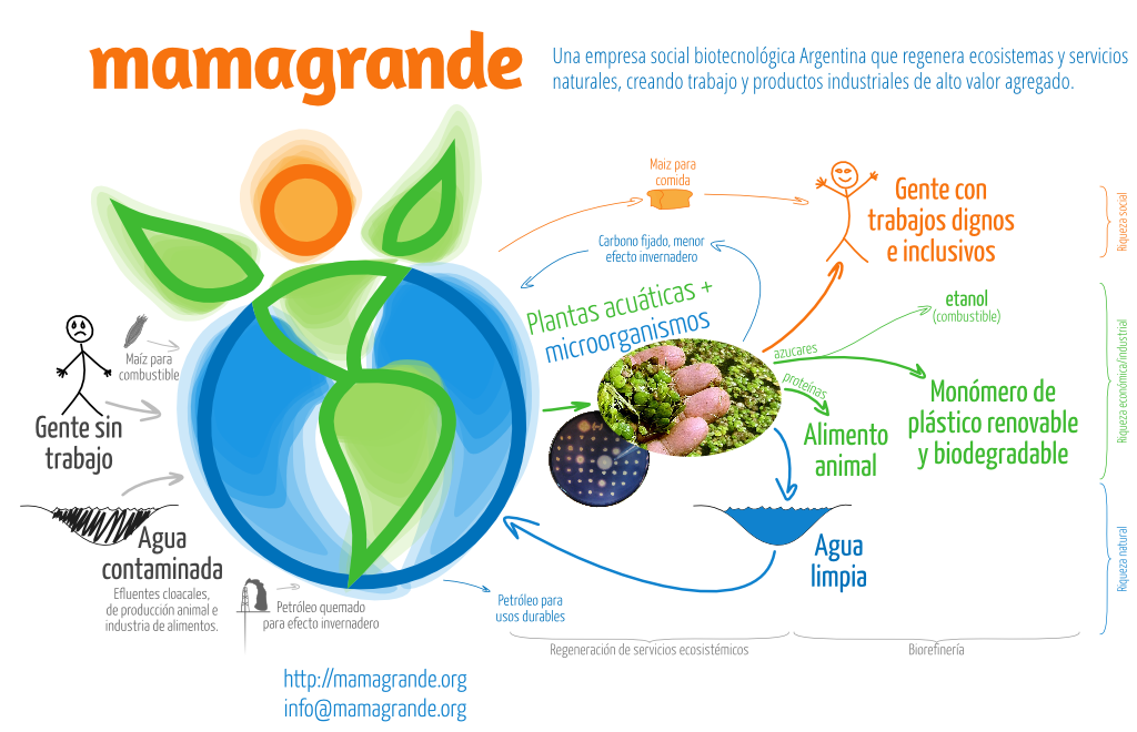 Diagrama de las operaciones de MamaGrande. 